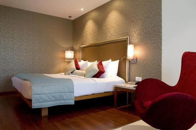 Suite, 1 Queen Bed