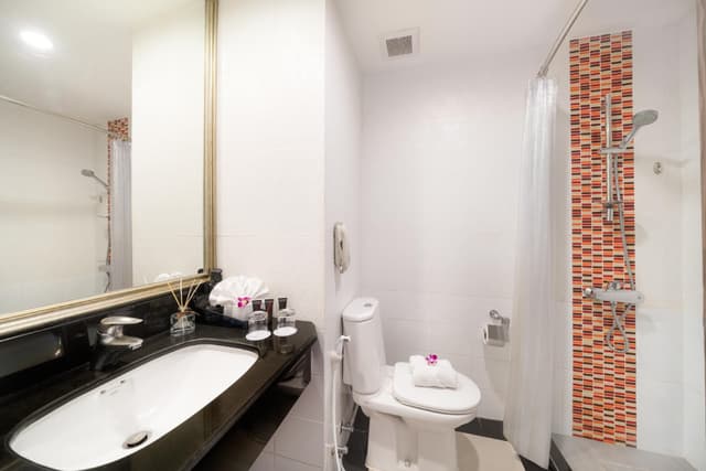 Premier Room