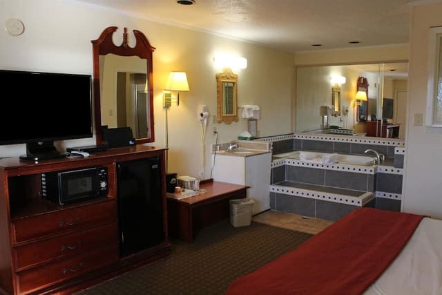 Junior Studio Suite