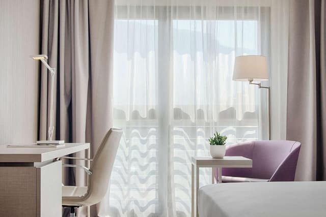 Superior Room with View