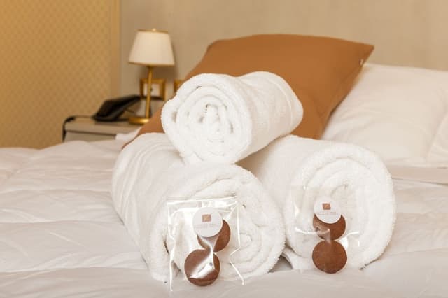 Room, 1 Double or 2 Twin Beds, Hot Tub