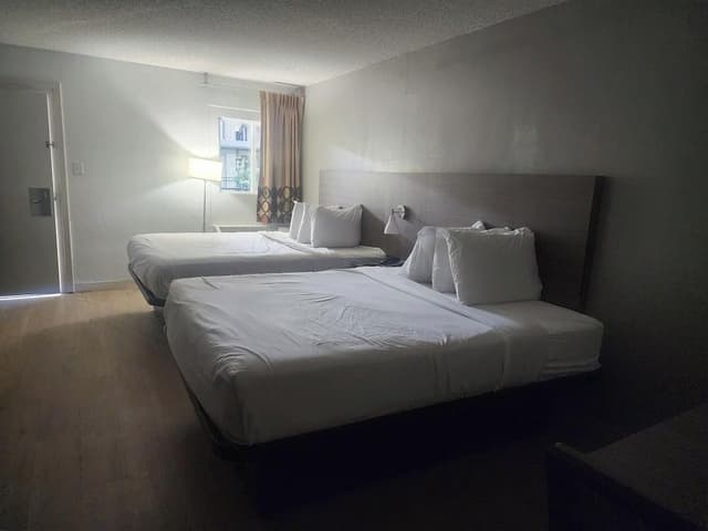 Standard Studio, 2 Queen Beds, Refrigerator & Microwave