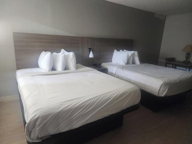 Standard Studio, 2 Queen Beds, Refrigerator & Microwave