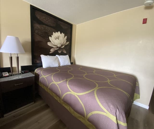 Basic Single Room