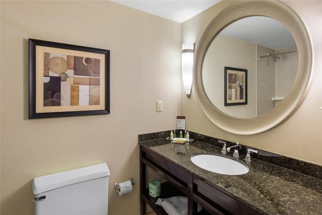 2 DELUXE QUEEN CITY VIEW - MOB ACCESSIBLE TUB