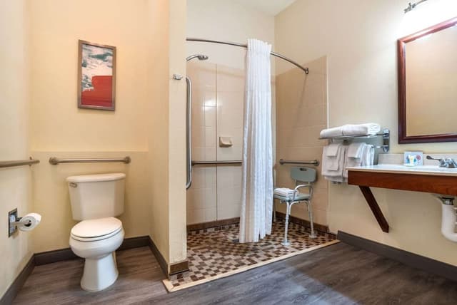 Room, 1 King Bed, Accessible, Non Smoking