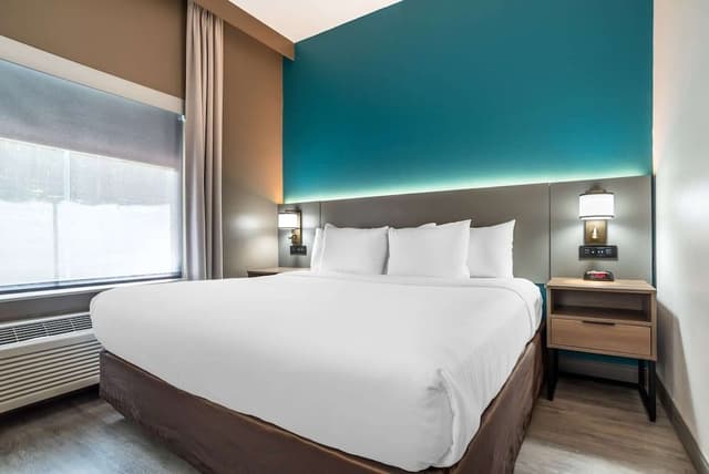 Room, 1 King Bed, Accessible, Non Smoking