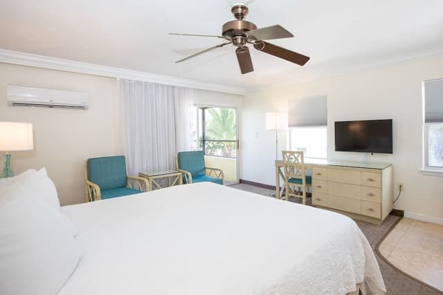 Studio, 1 King Bed, Balcony, Bay View