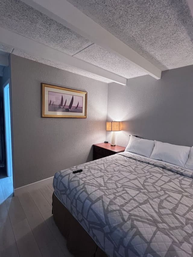 Single Room, 1 King Bed, Non Smoking (non pet)