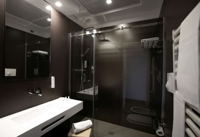 Executive Room, 1 King Bed, Smoking (Shower Only)