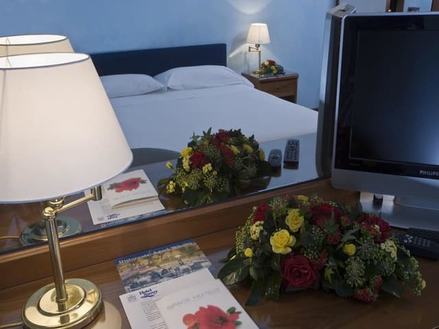 Double Room Single Use