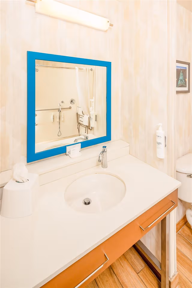 1KG OCEANVIEW MOBILITY/HEARING ACCESS TUB NS