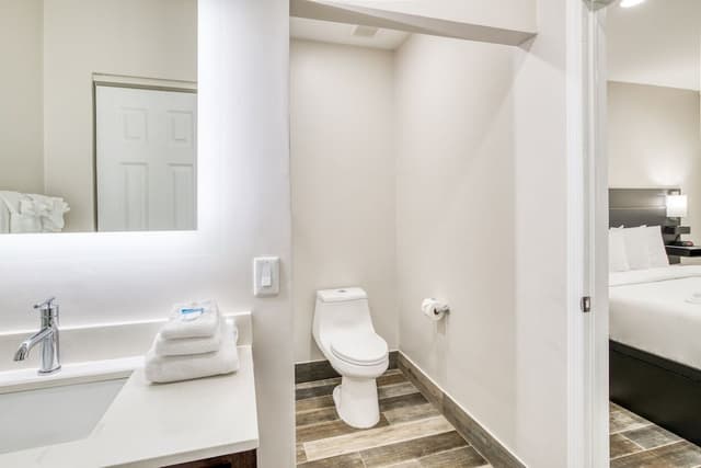 Deluxe Suite, 1 King Bed