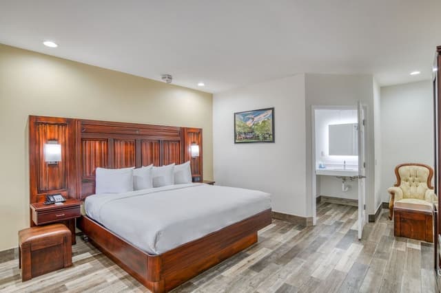 Room, 1 King Bed