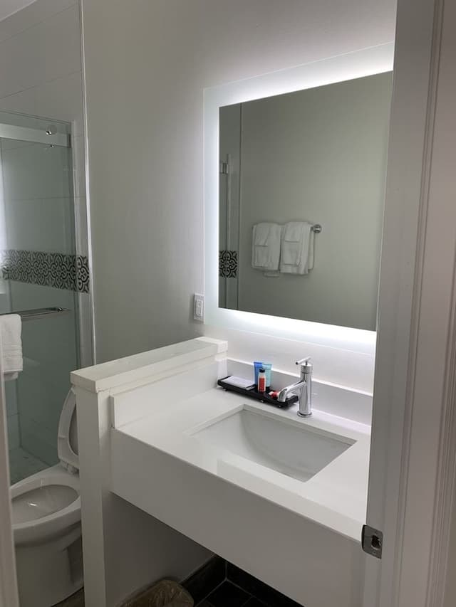 Room, 1 King Bed