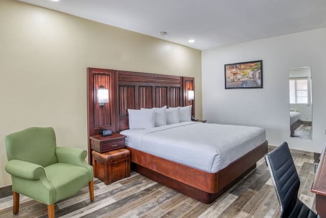 Deluxe Room, 1 King Bed, Non Smoking