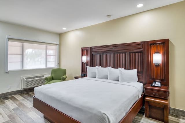 Deluxe Room, 1 King Bed, Non Smoking