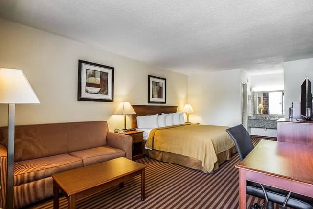 Standard Room, 1 King Bed with Sofa bed, Non Smoking
