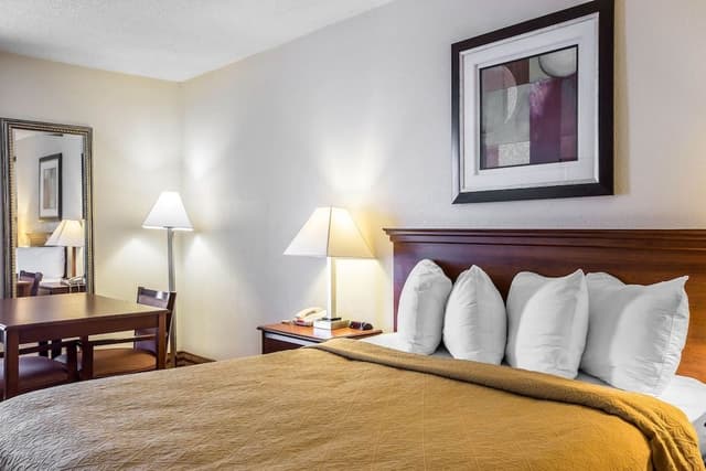 Standard Room, 1 King Bed with Sofa bed, Non Smoking
