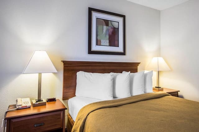 Standard Room, 1 King Bed with Sofa bed, Non Smoking