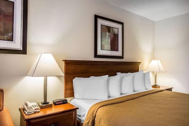 Standard Room, 1 King Bed with Sofa bed, Non Smoking