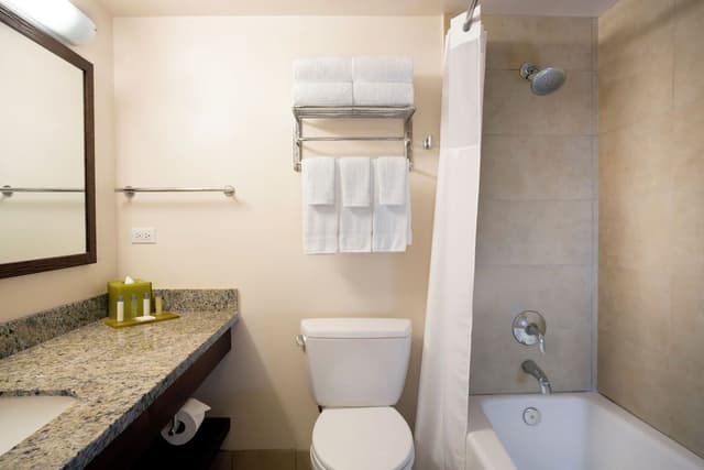 Suite, 1 Bedroom, Oceanfront
