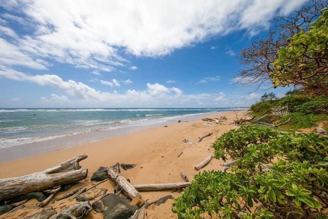 Condo, 2 Bedrooms