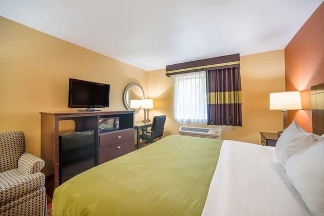 Room, 1 King Bed, Accessible, Non Smoking