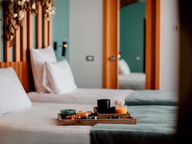 Deluxe Room, 1 Double Bed (Jacuzzi on private terrace)