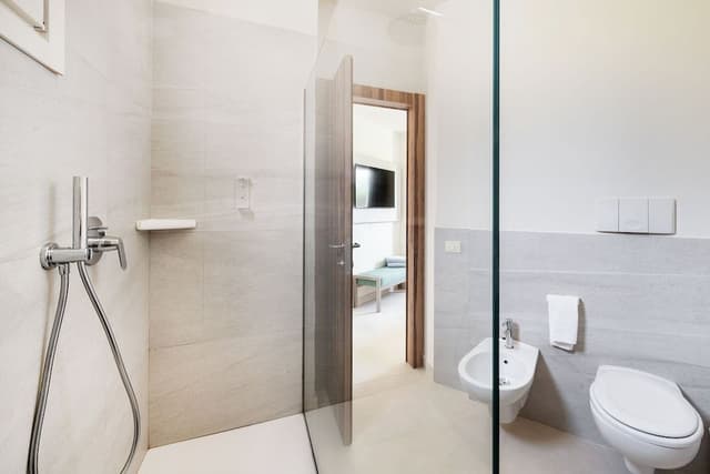 Superior Junior Suite