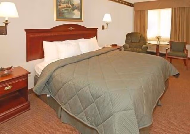 Standard Room, 1 King Bed, Non Smoking