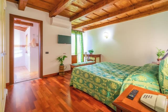 Classic Double/Twin Room