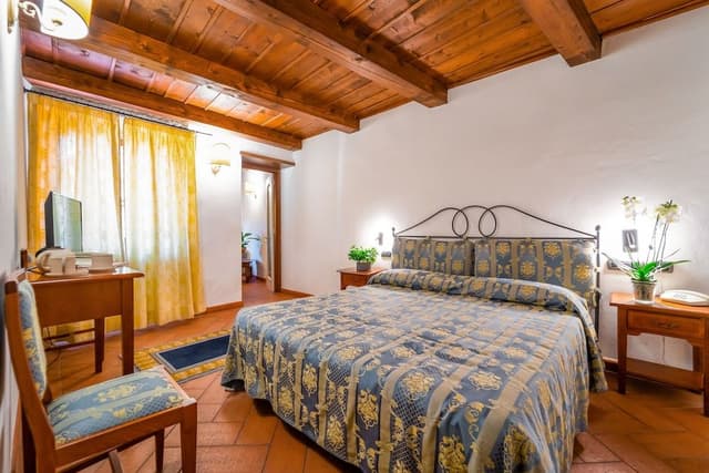 Classic Double/Twin Room