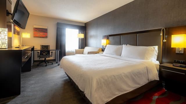 Suite, 1 King Bed with Sofa bed