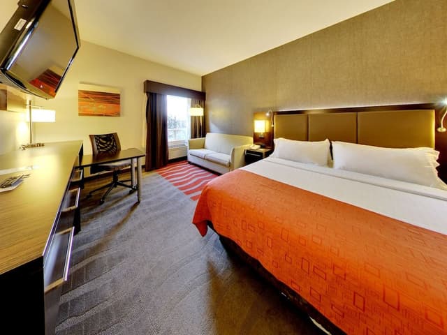Suite, 1 King Bed with Sofa bed