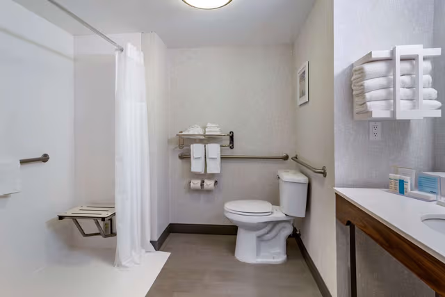 1 KING BED ACCESSIBLE ROOM NONSMOKING