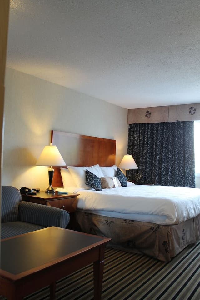 Executive Room, 1 King Bed, Non Smoking, Refrigerator & Microwave