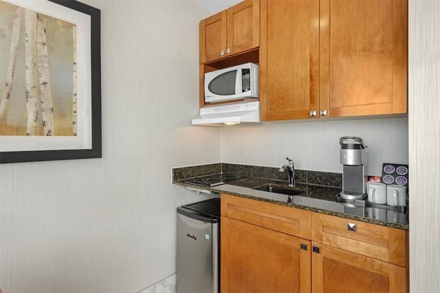 Executive Room, 1 King Bed, Non Smoking, Refrigerator & Microwave