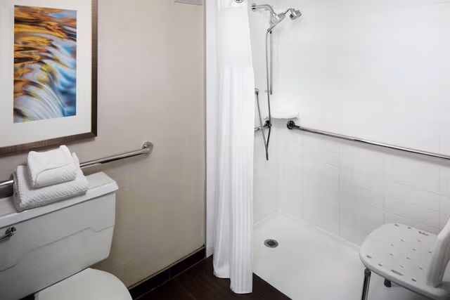 Room, 1 King Bed, Accessible