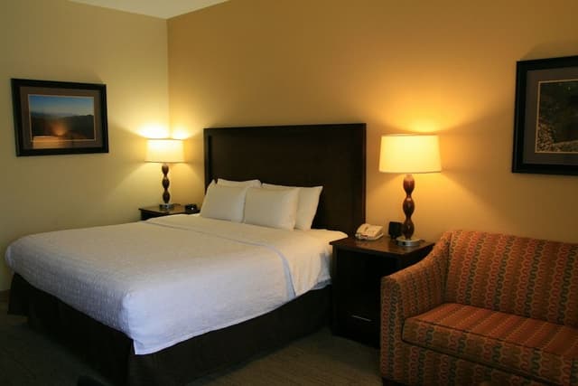 Room, 1 King Bed, Non Smoking