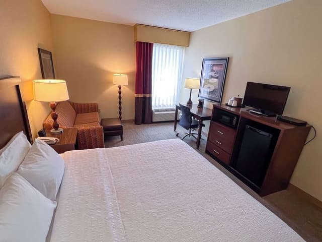 Room, 1 King Bed, Non Smoking