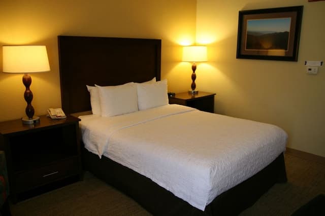 Room, 1 Queen Bed, Non Smoking
