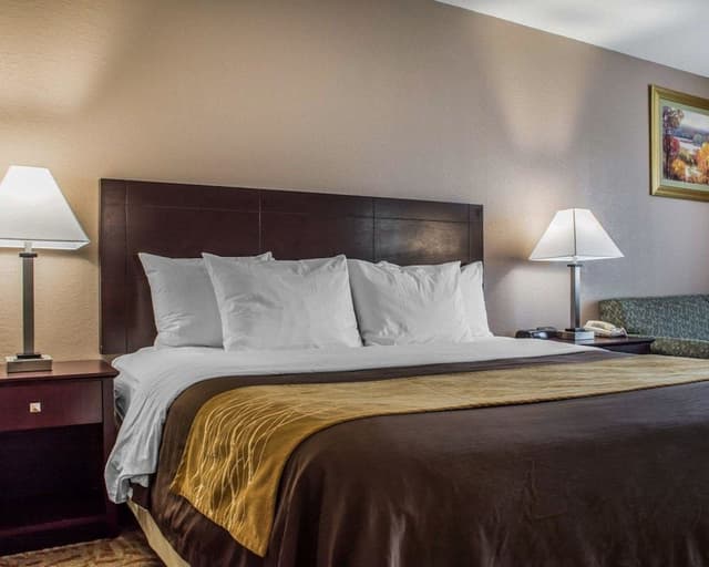 Standard Room, 1 King Bed with Sofa bed, Jetted Tub