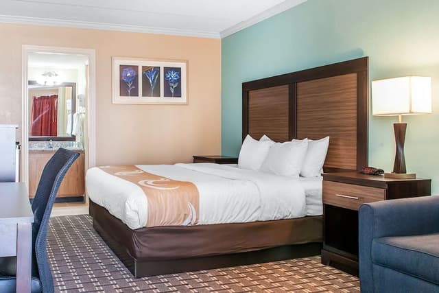 Standard Room, 1 King Bed, Non Smoking