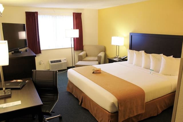 Standard Room, 1 King Bed, Non Smoking