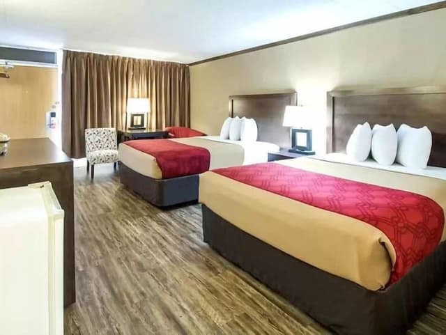 Standard Double Room, 2 Double Beds, Non Smoking (No Pets)