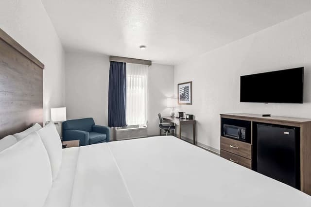 Room, 1 King Bed, Accessible, Non Smoking