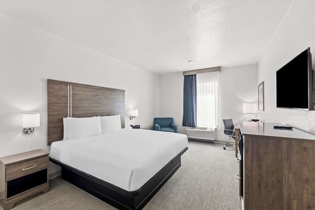 Room, 1 King Bed, Accessible, Non Smoking