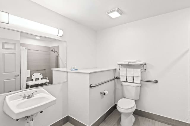 Room, 1 King Bed, Accessible, Non Smoking