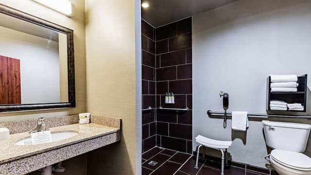 Studio Suite, 1 King Bed, Accessible, Kitchen (Comm, Accessible Tub)
